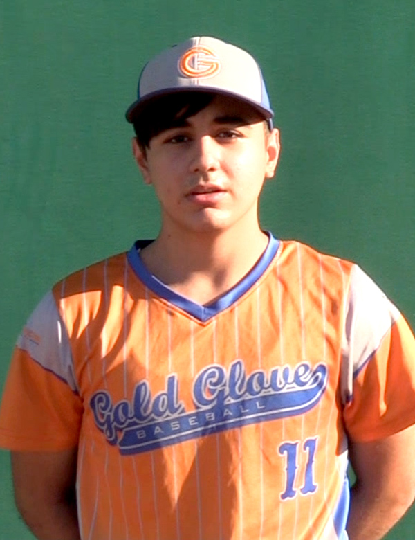 Luis-Gael Villarreal